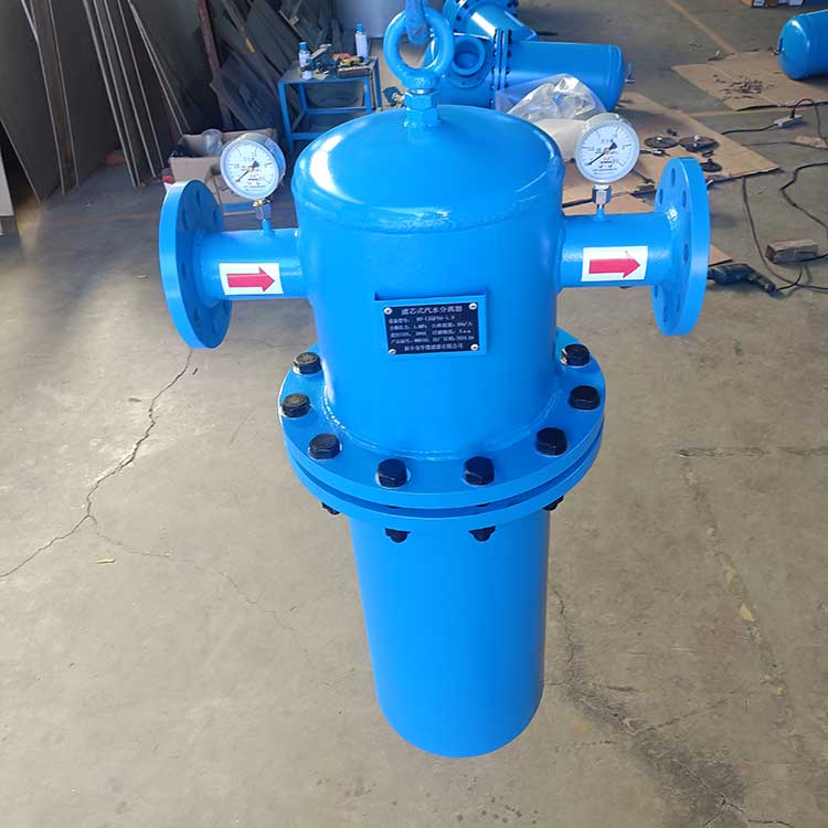 濾芯式汽水分離器-(2)