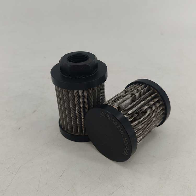 STR0502SG1M250P01-(5)