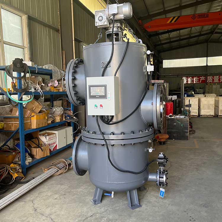 自清洗過濾器DLS-400-00-01-(2)